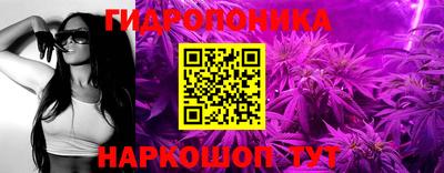 гидра Гусев