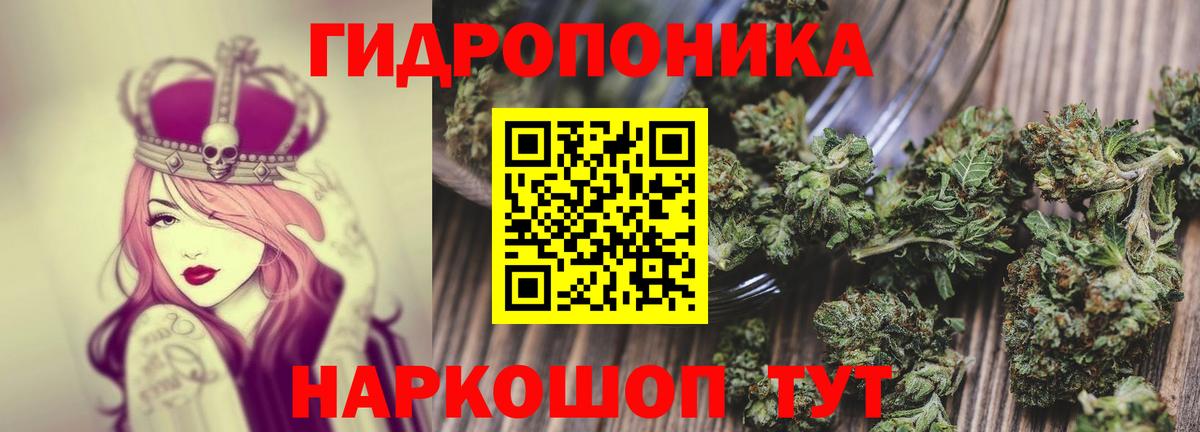 Бошки марихуана LSD WEED  Бошки Шишки сатива  Курчатов  Вход с VPN 